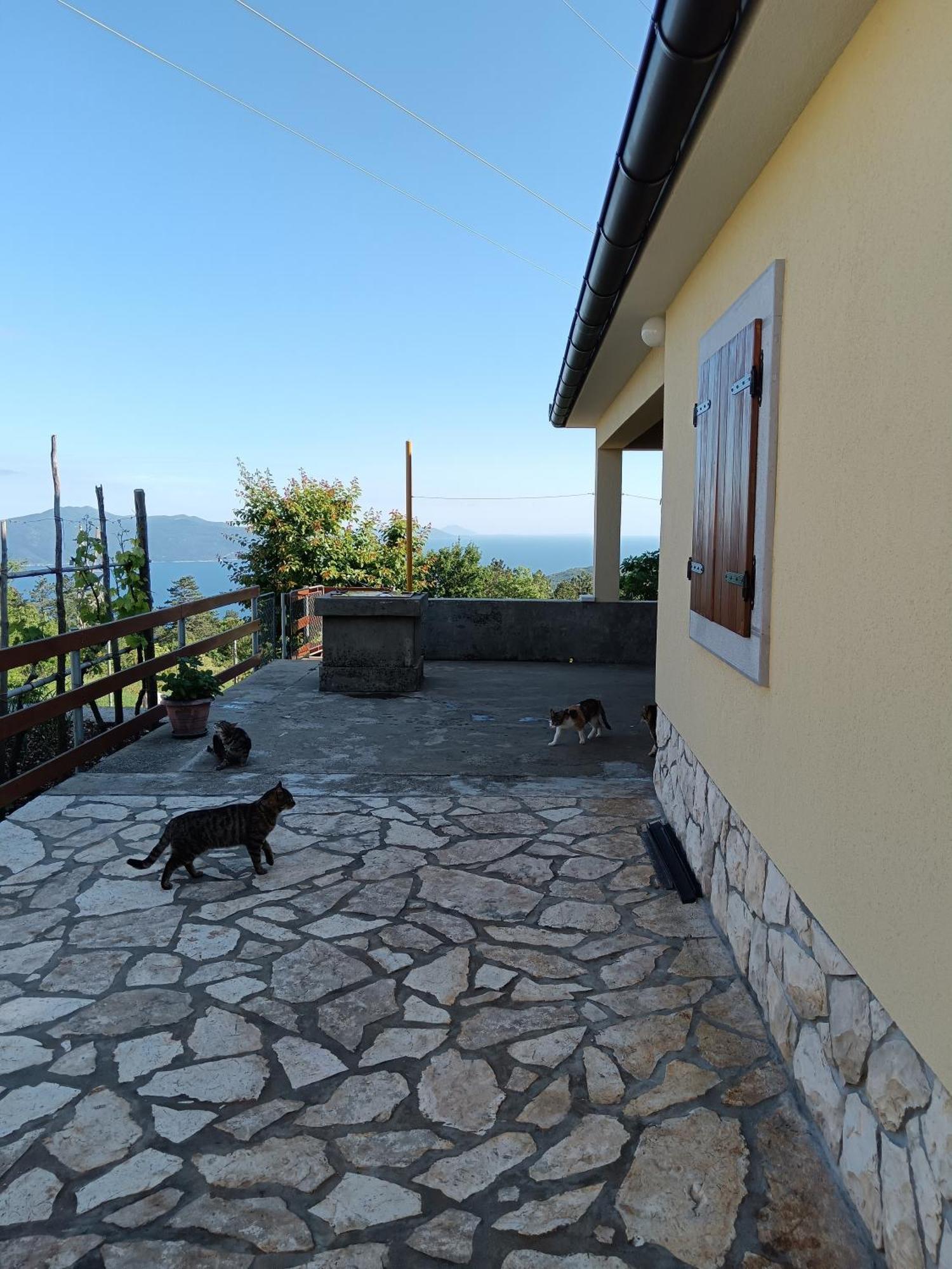 Vacation Home Marinici มอชเชนิชกา ดรากา ภายนอก รูปภาพ